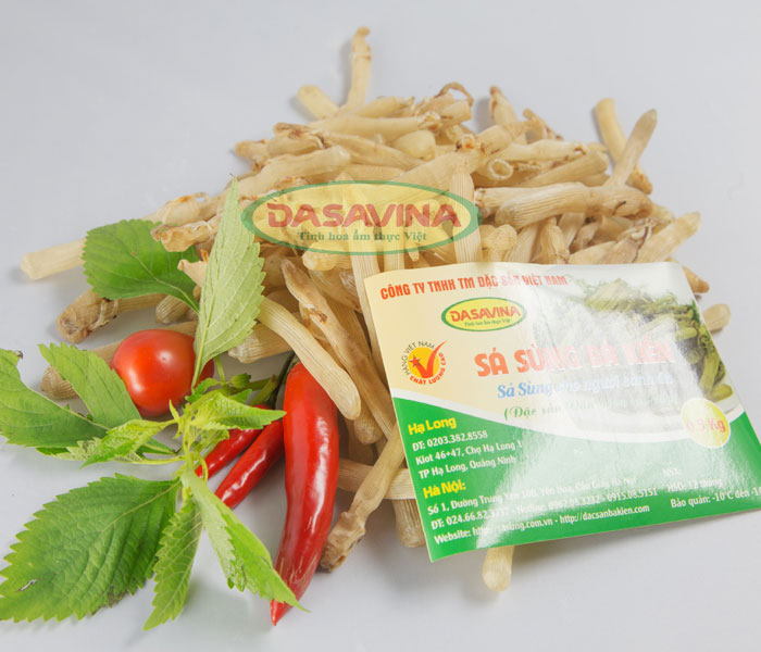 DASAVINA cung cấp sản phẩm sá sùng chất lượng từ vùng biển Quảng Ninh
