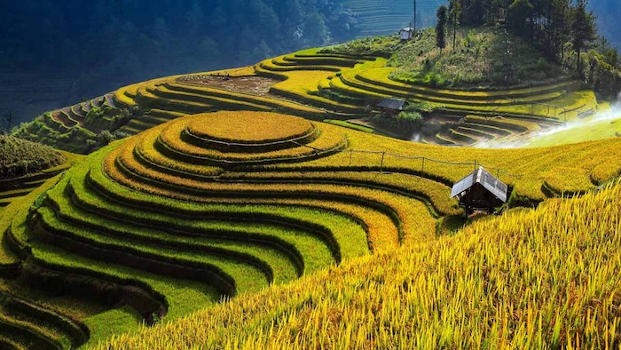 Mù Cang Chải ở đâu?