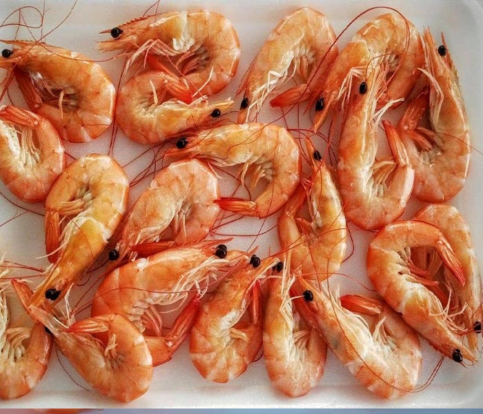 Hướng dẫn tôm khô trước khi sử dụng 