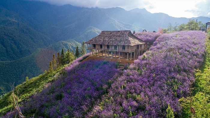 Bắc Hà địa điểm du lịch thu hút nhiều khách du lịch của vùng núi Tây Bắc