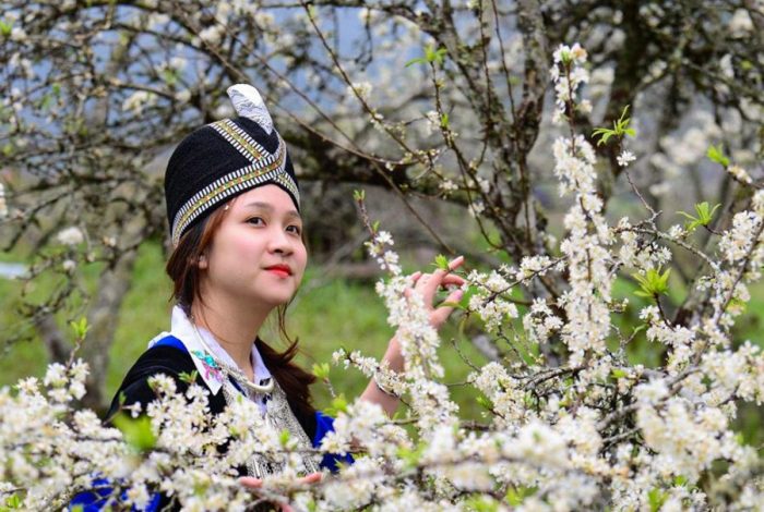 Điện Biên mùa hoa ban đẹp như thế nào