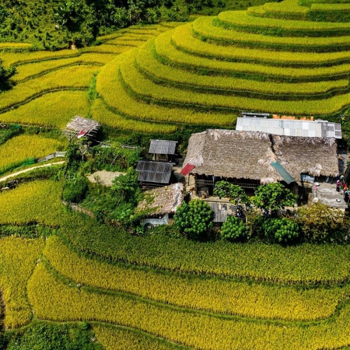 Homestay Bản Liền với view ruộng bậc thang thơ mộng