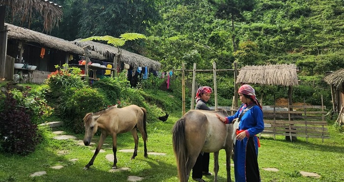 Du lịch Khát Vọng Việt hỗ trợ du khách đặt homestay trực tiếp tại Bản Liền