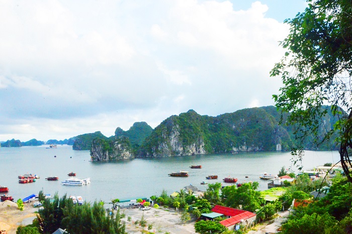 Kavo Travel thiết kế tour du lịch Vũng Đục, Vân Đồn 2 ngày 1 đêm phù hợp với nhiều người