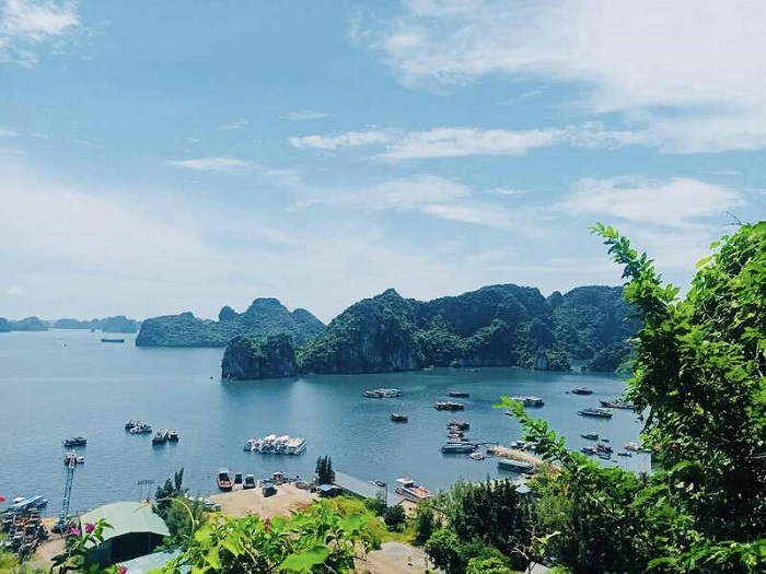 Vũng Đục, Quảng Ninh hiện đang là địa điểm du lịch hot nhất hiện nay