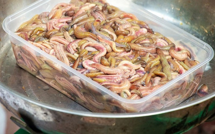 Rươi Dasavina tuyển chọn nguồn rươi tươi chất lượng, đảm bảo an toàn và hương vị thơm ngon.